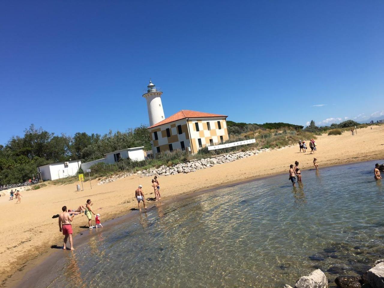 Dogi Sud